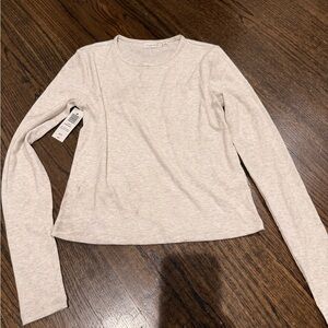 Aritzia Gray Long Sleeve Tee
